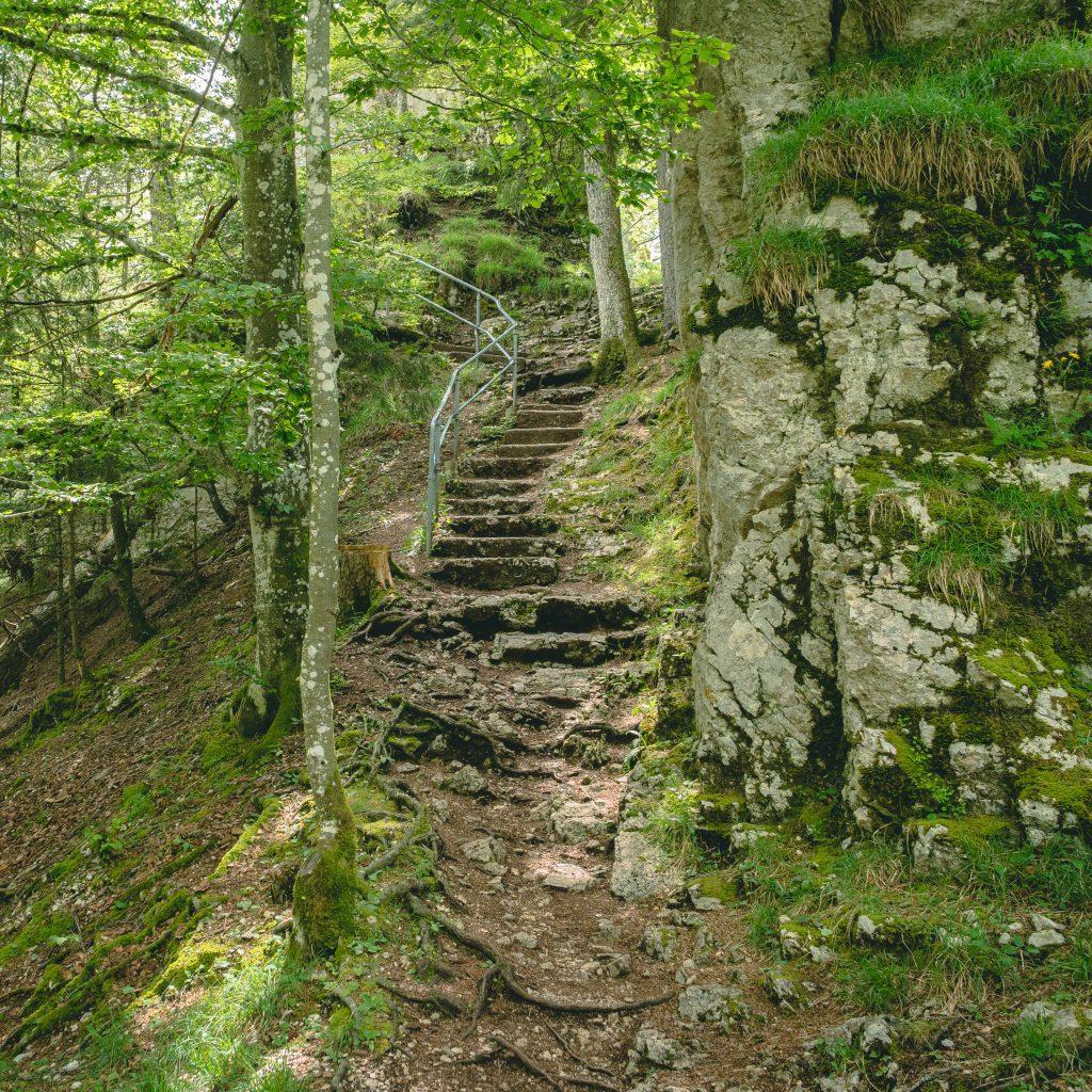 Treppe mit Metallgeländer am Fels entlang im Wald - Wandern Jura