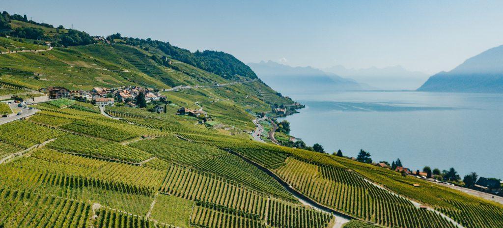 lavaux scaled