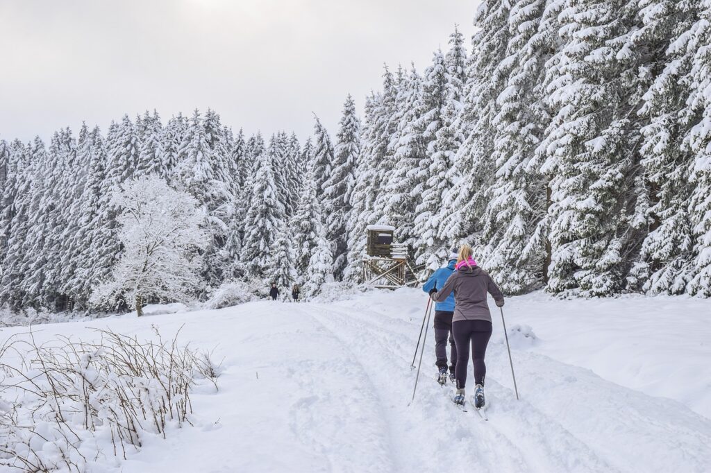 To personer står på langrenn i et vinterlandskap
