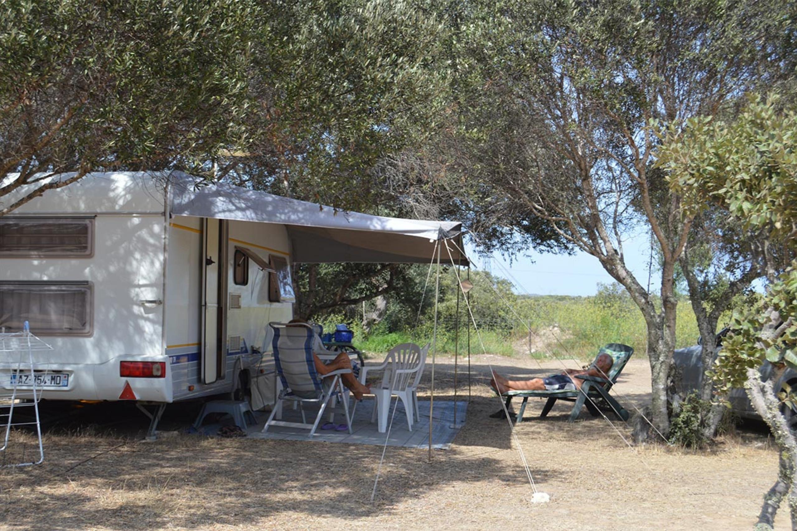 Die Olivenbäume spenden angenehmen Schatten, die Grillen Zirpen, der Camper steht an seinem Platz - Camperherz happy!