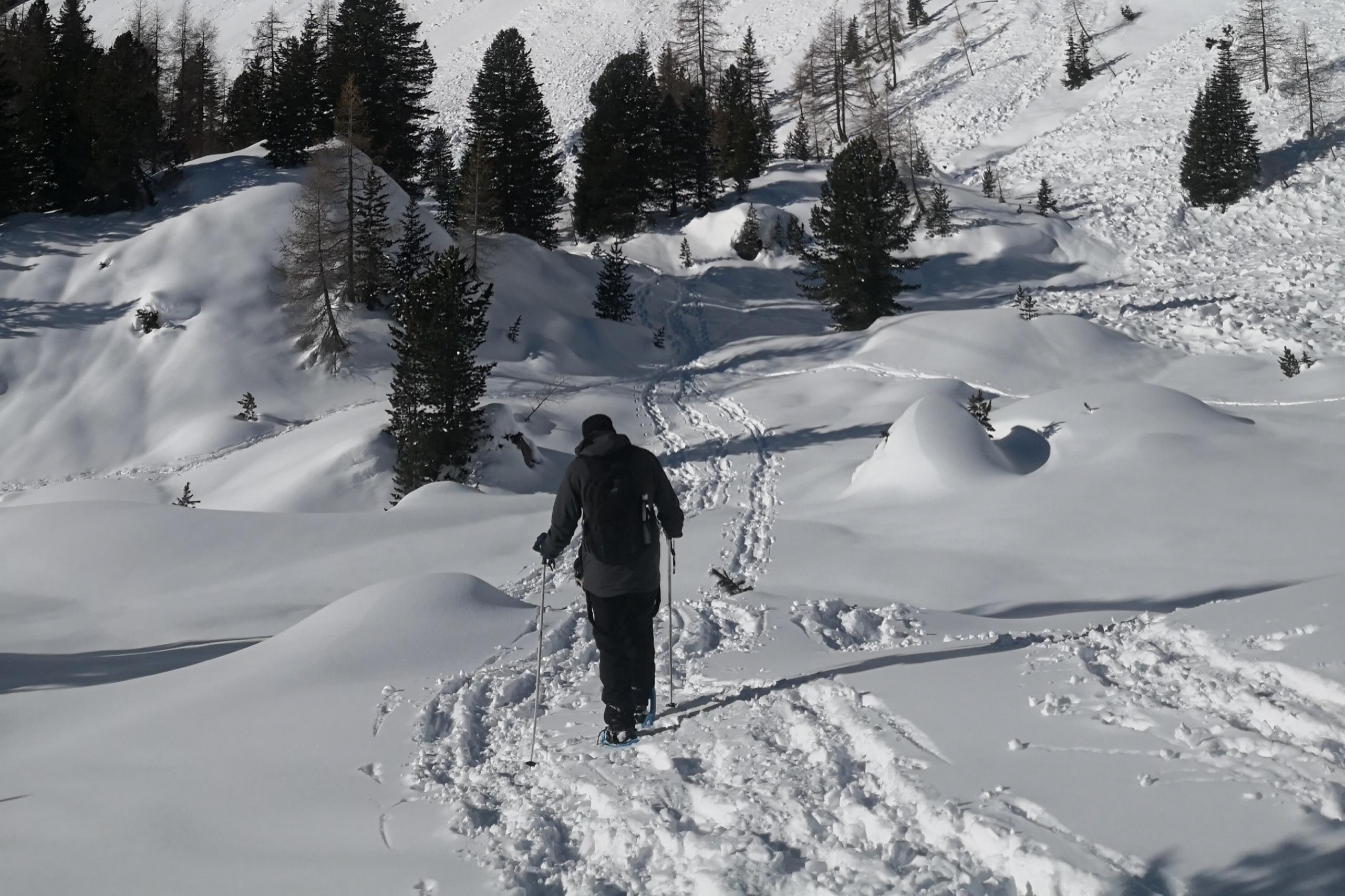 Eine Schneeschuhtour bietet die perfekte Möglichkeit, die Landschaft und die Natur zu geniessen. 