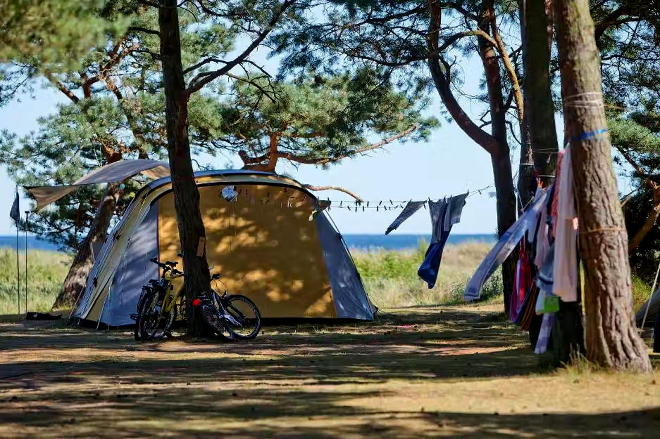 Die Stellplätze sind umgeben von schattenspendenden Bäumen und Sanddünen. Copyright: Dueodde Familie Campingplatz