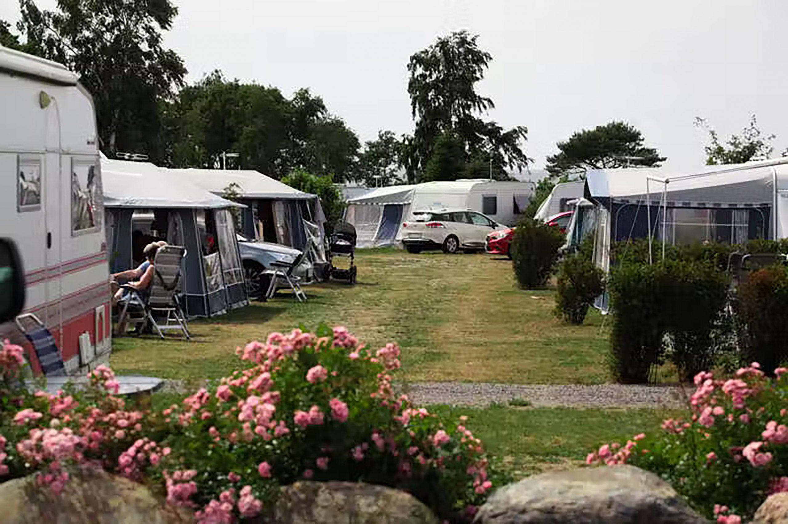 Der Campingplatz ist von Natur umgeben und bietet eine malerische Umgebung für deinen Urlaub auf Bornholm. Copyright: Hasle Camping & Hytter