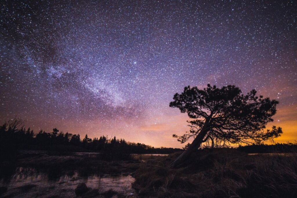 Hvis du vil se en så fantastisk stjernehimmel, bør du bli litt lenger i Thy nasjonalpark etter solnedgang. Copyright: Destination Nordvestkysten