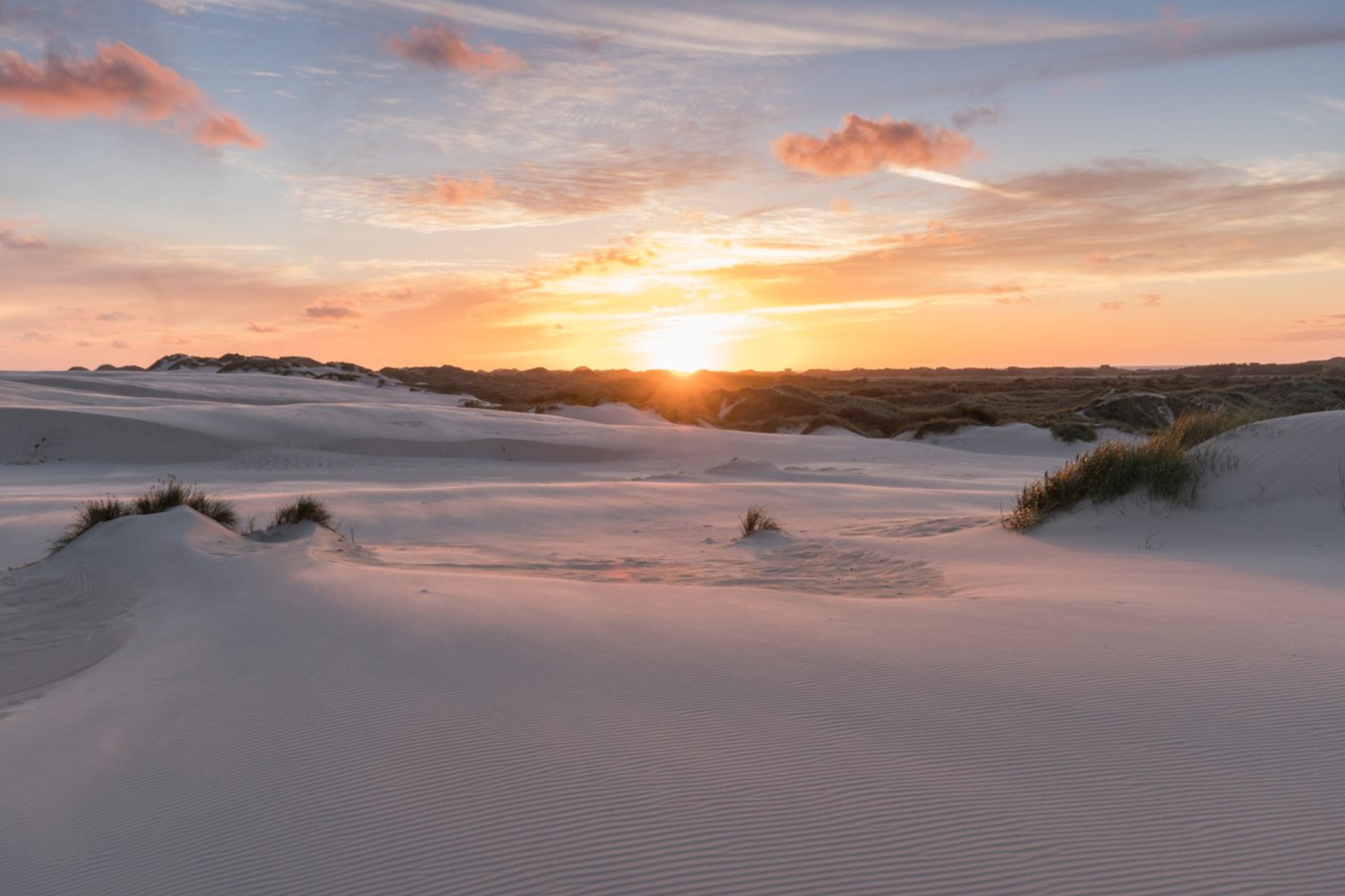 The shifting dune Råbjerg Mile is a very special destination.