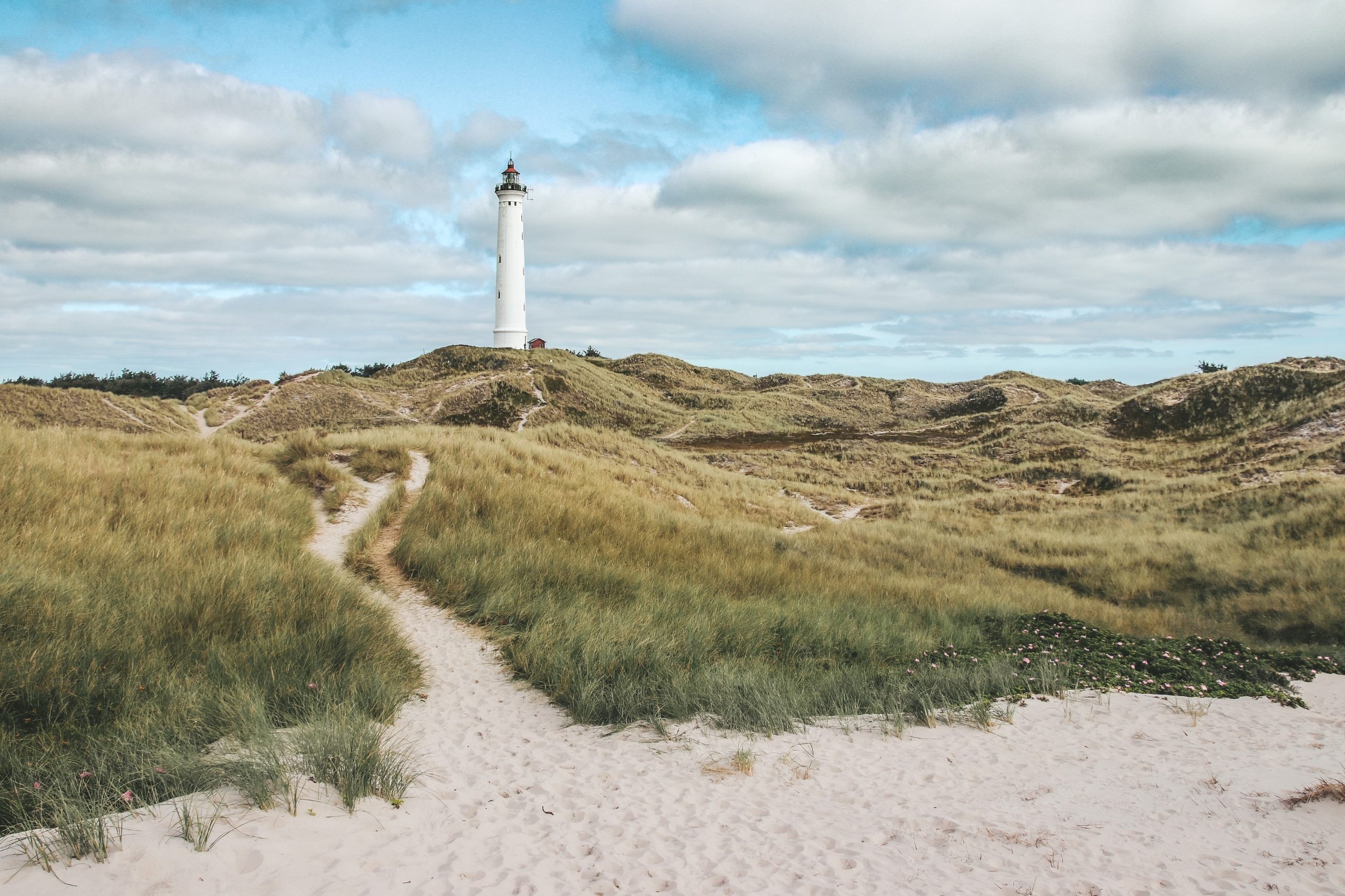 About 15 minutes drive from the campsite, you’ll find the lighthouse Lyngvig Fyr, which sits on a dune. 