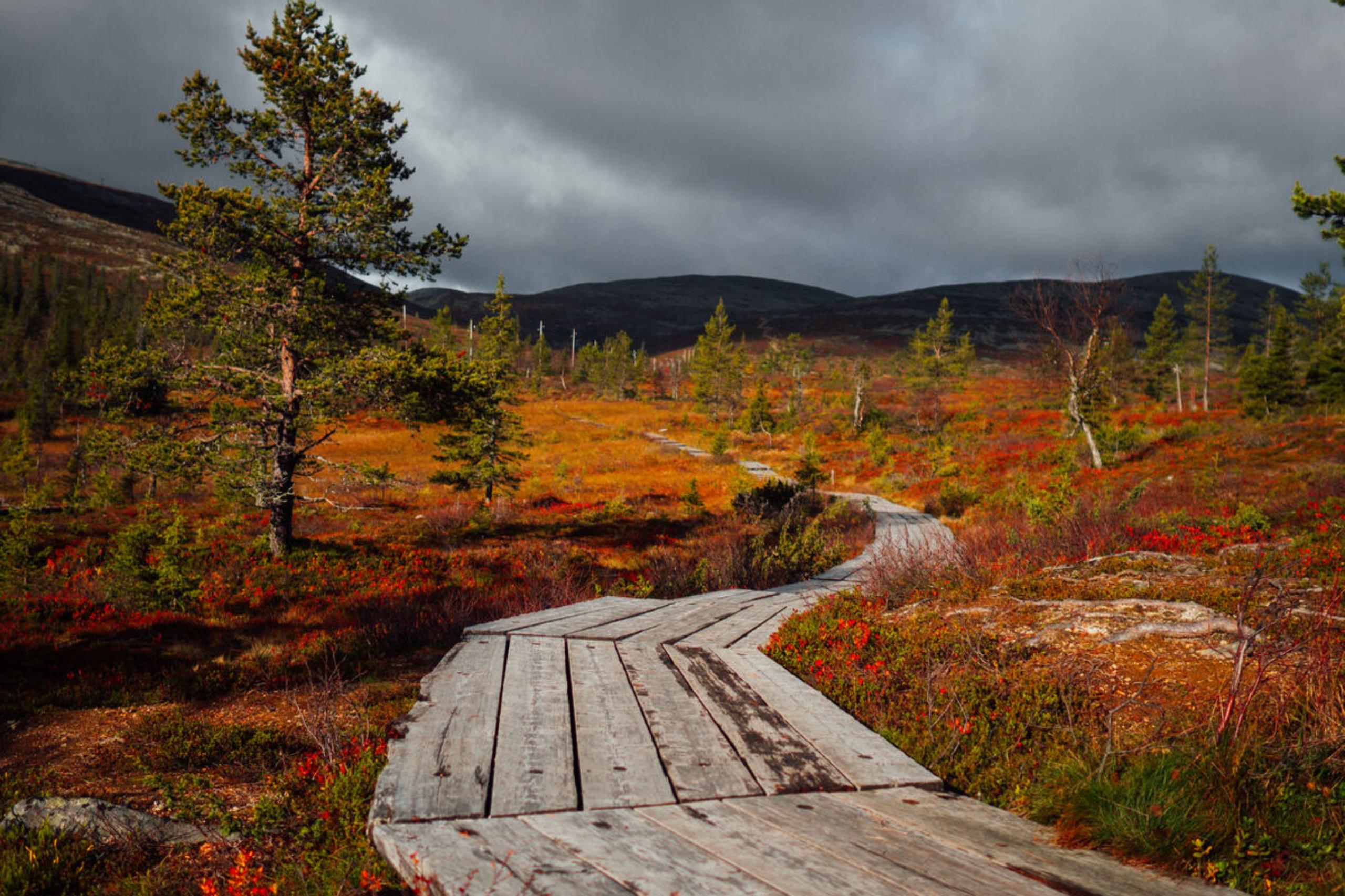 Die beste Reisezeit für Finnland erstreckt sich von Frühling bis Herbst und jede Jahreszeit besitzt ihren ganz besonderen Reiz. 
