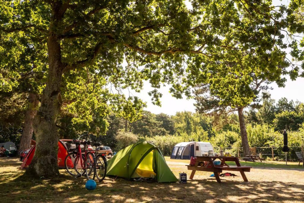 Campingen är omgiven av natur och erbjuder en pittoresk miljö för din semester på Bornholm. Copyright: DCU-Camping Rønne Strand