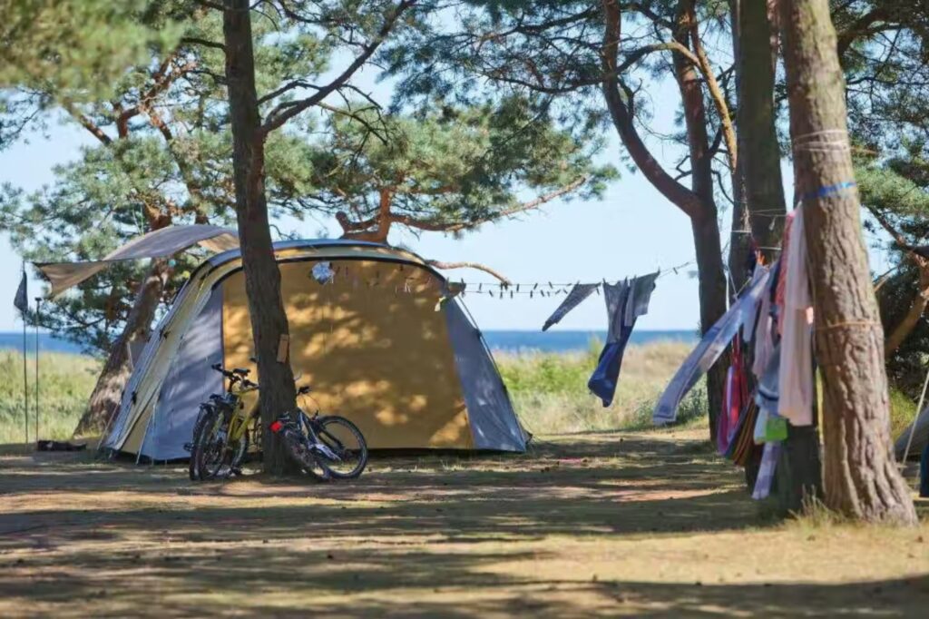 Plassene på Dueodde Familiecamping er omgitt av trær som gir skygge og sanddyner. Copyright: Dueodde Family Camping