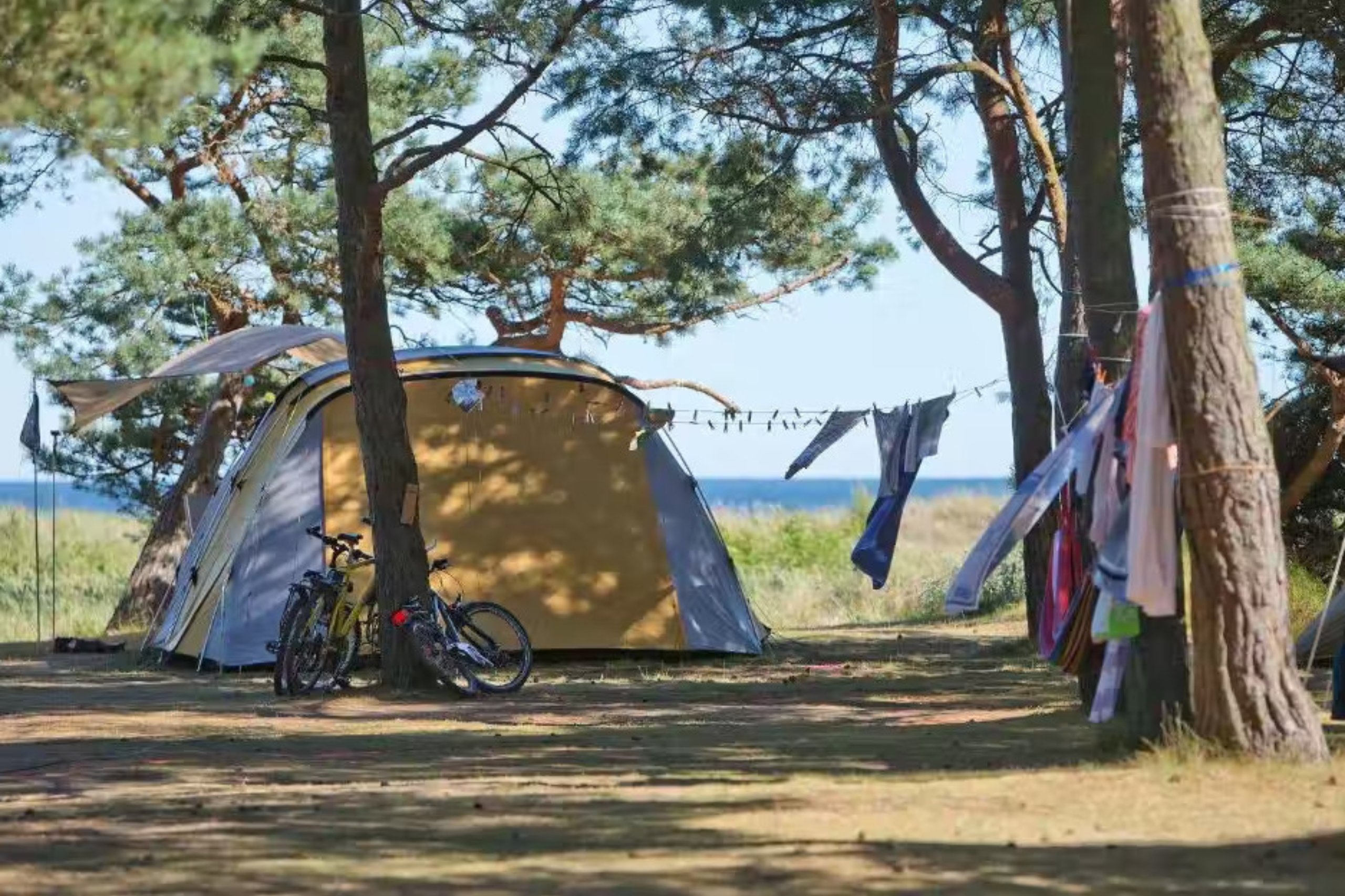 Ställplatserna på Dueodde Familiecamping är omgivna av skuggiga träd och sanddyner.