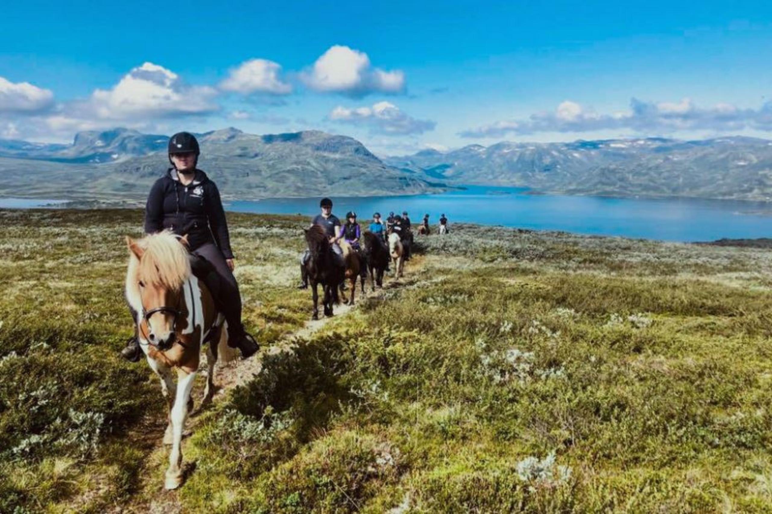 Auf dem Rücken der Isländer Norwegen entdecken - ein einmaliges Erlebnis. 