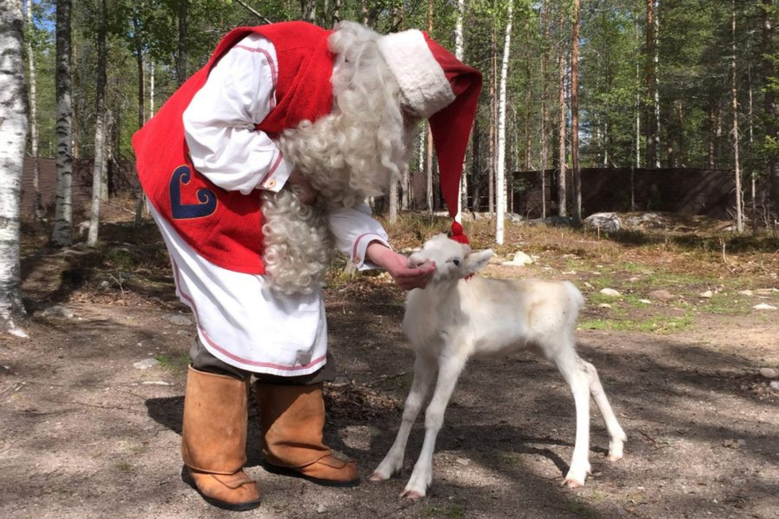  Santa Claus and reindeer calves all in one place - this is definitely the place your kids would love to visit, right?
