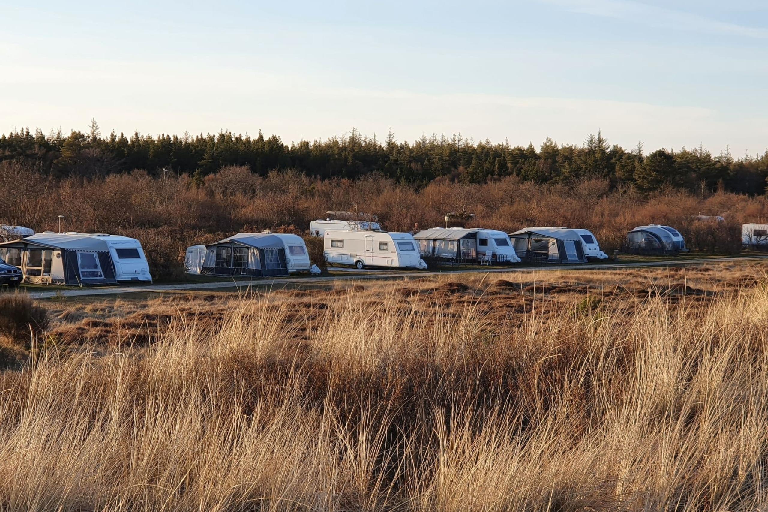 Gleich hinter der Böschung beginnt der Strand - die Stellplätze am Skagen Sydstrand Camping.