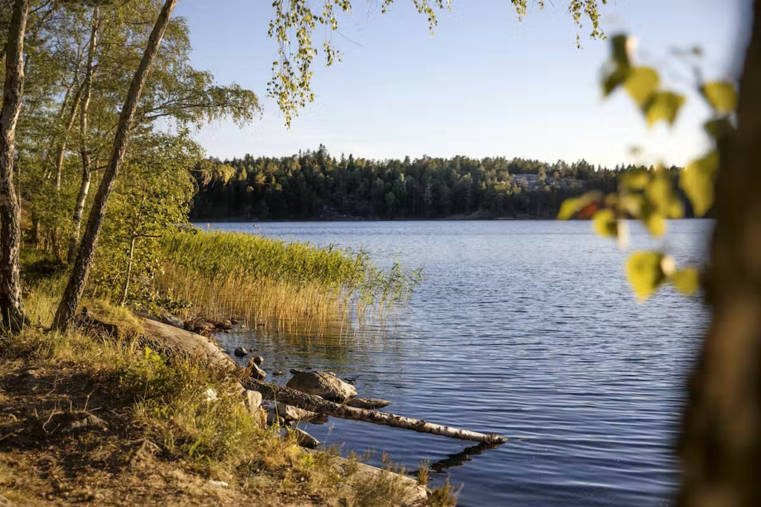 From Ställplats Stockholm, it is close to both the city and nature. 