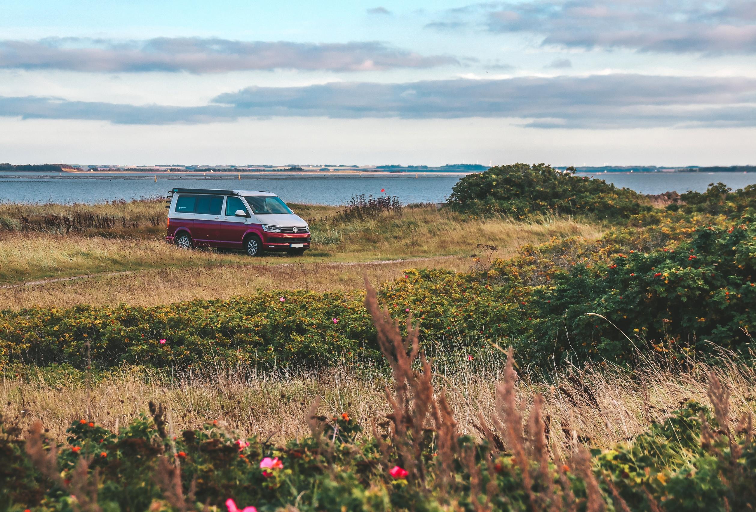 Stelle dein Wohnmobil ab und unternehme einen Ausflug in der dänischen Natur. 