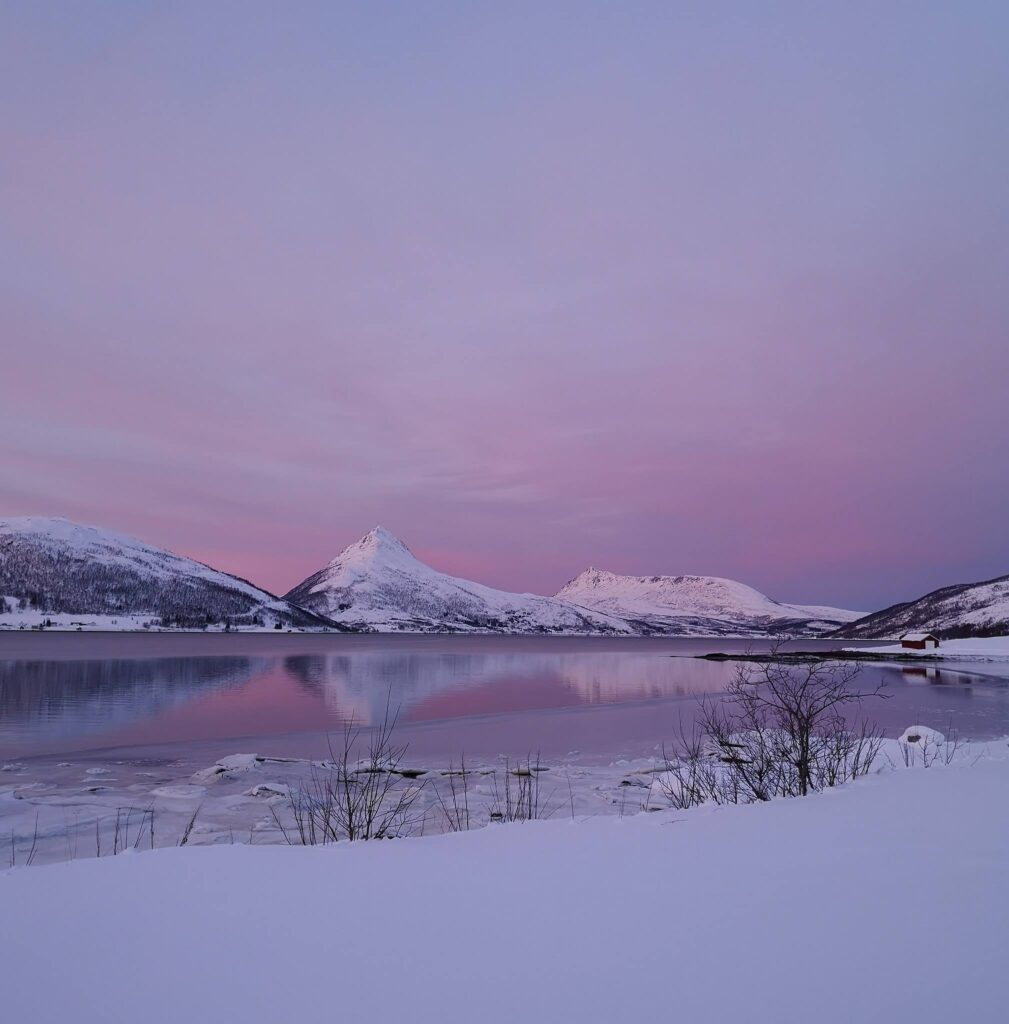 Her kan vinteren ikke bare være hvit, men også alle nyanser av lilla. Copyright: Fjordbotn Camping