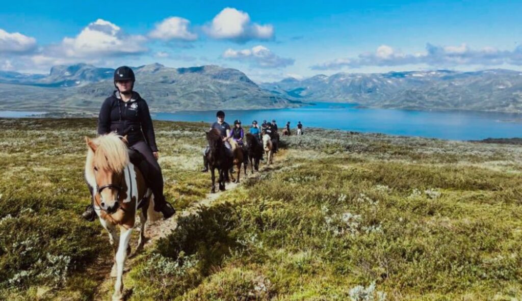 Discover Norway on the backs of the Icelanders - a unique experience. Copyright: Hestur på Icelandic Horses