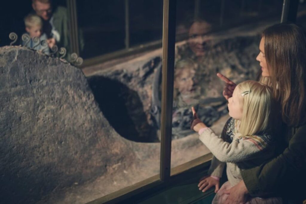 Dive into history from long-forgotten times in the Viking Museum. Copyright: Vikingmuseetladby.dk