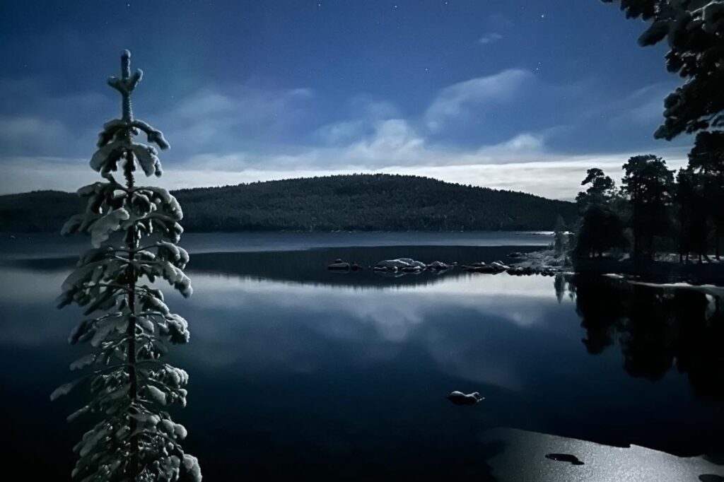Ljuset och den meterhöga snön skapar en mystisk och härlig atmosfär. Copyright: Ivalo River Camping