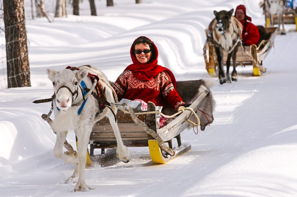 It doesn't just look funny, it's also incredibly entertaining... Let's introduce reindeer sledding. Copyright: Yllas.fi