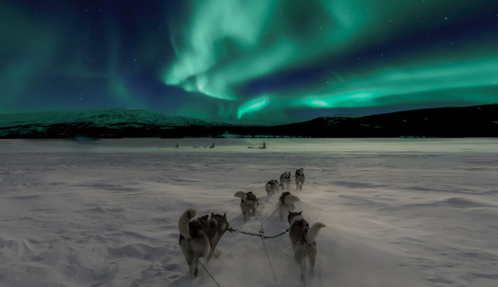 Je l'avoue, c'est presque un peu kitsch - mais c'est exactement comme ça que vous pouvez voir les aurores boréales en Norvège. Copyright: Thomas Lipke, Unsplash.com 