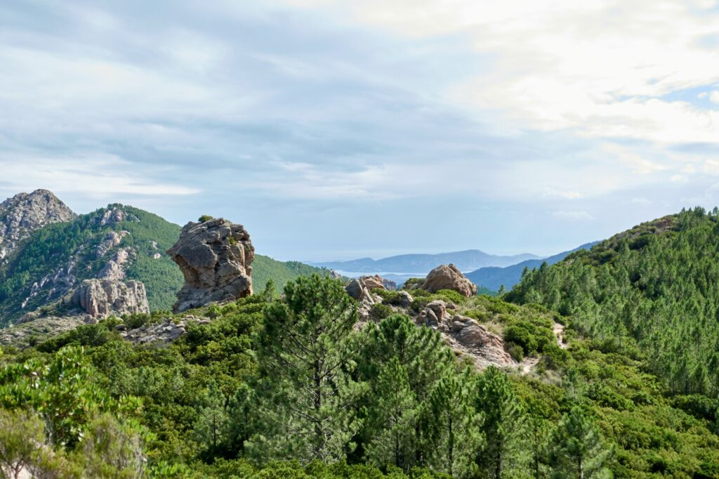 Interessante klippeformationer og skov så langt øjet rækker. Du vil her indse, hvorfor vandreture på Korsika nær Conca er noget særligt. Copyright: Tim Oun, Unsplash.com